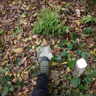 ジーパン👖＆長靴👢