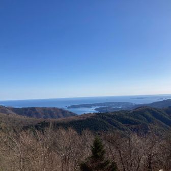 穏やかな大平洋