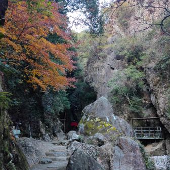 厳かな雰囲気かつ自宅から近くてすぐ来れることも相まってかなり好きな雰囲気の場所です。