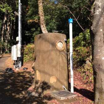 切株トイレ、キレイな洋式トイレ🚽