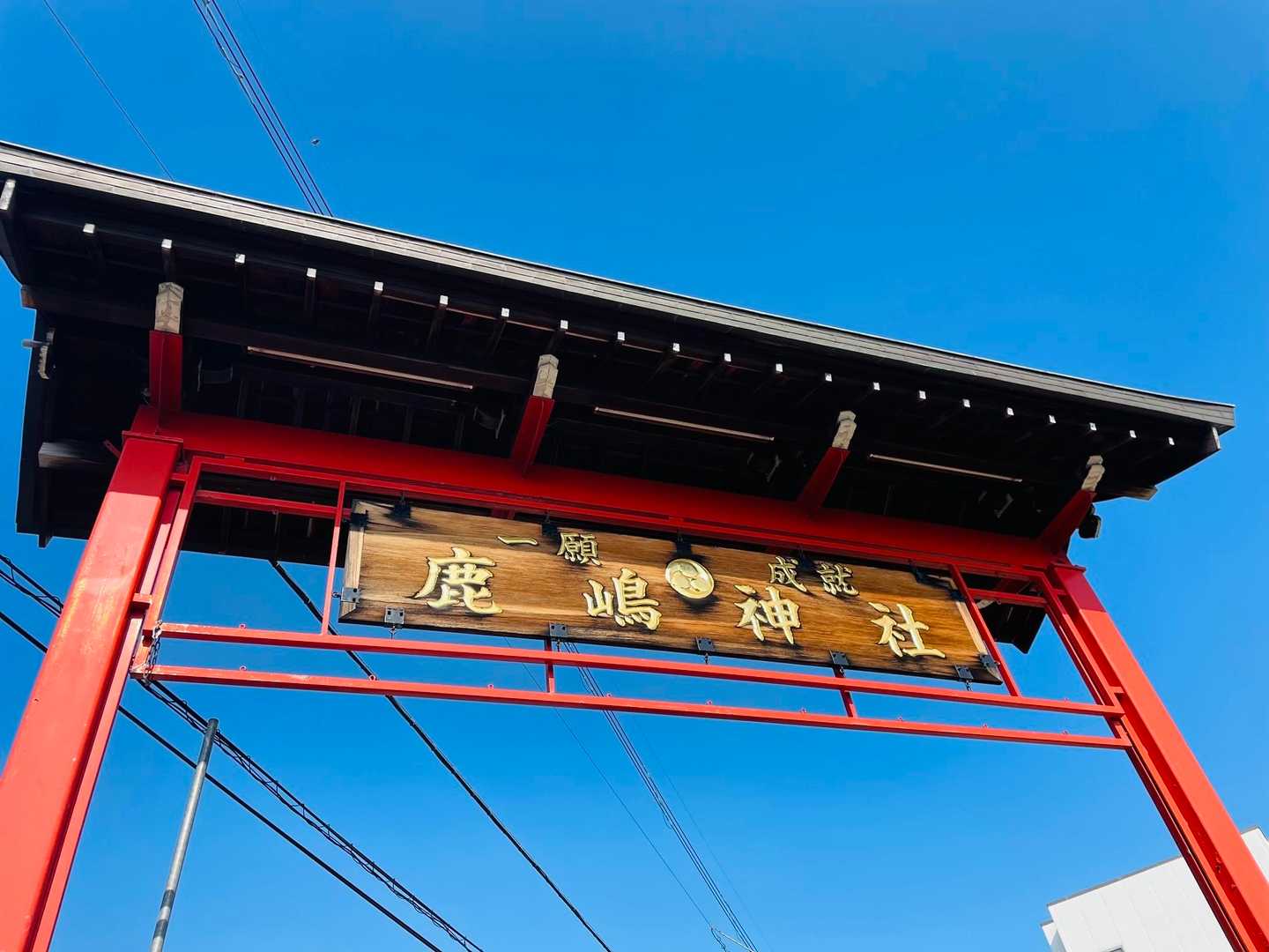 朝イチは涼しくなったけど、9時にはまた真夏に戻る🌞
