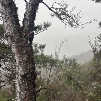 視界も悪く風も強い