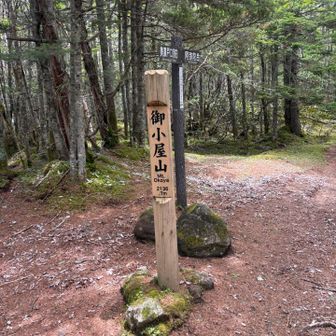 この看板の数メートル？先に美濃戸口と舟山十字路の分岐がある