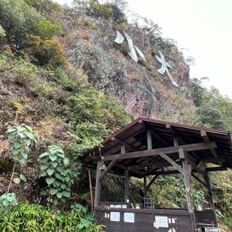 広い休憩所になってます
