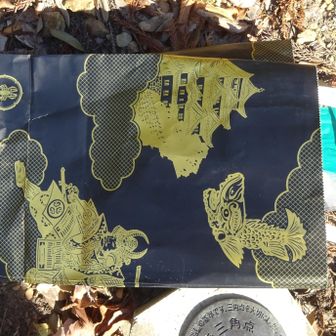 引っ込みました…😅