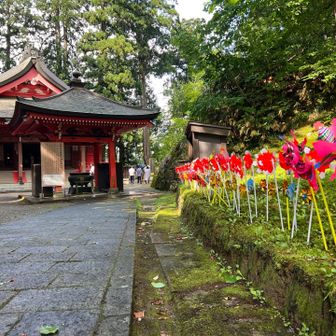 いい感じの神社ですねー！