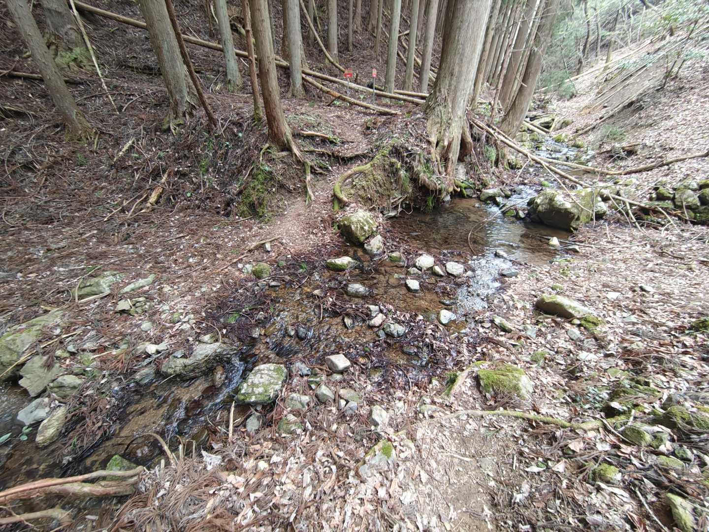 渡渉。