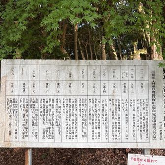 難攻不落🤔？