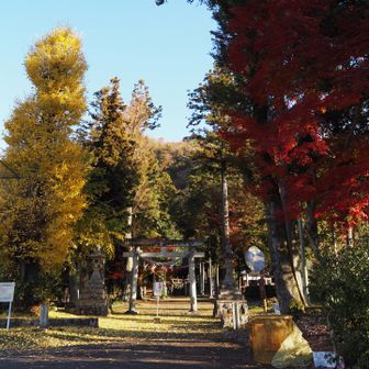 駐車場近くの神社⛩️