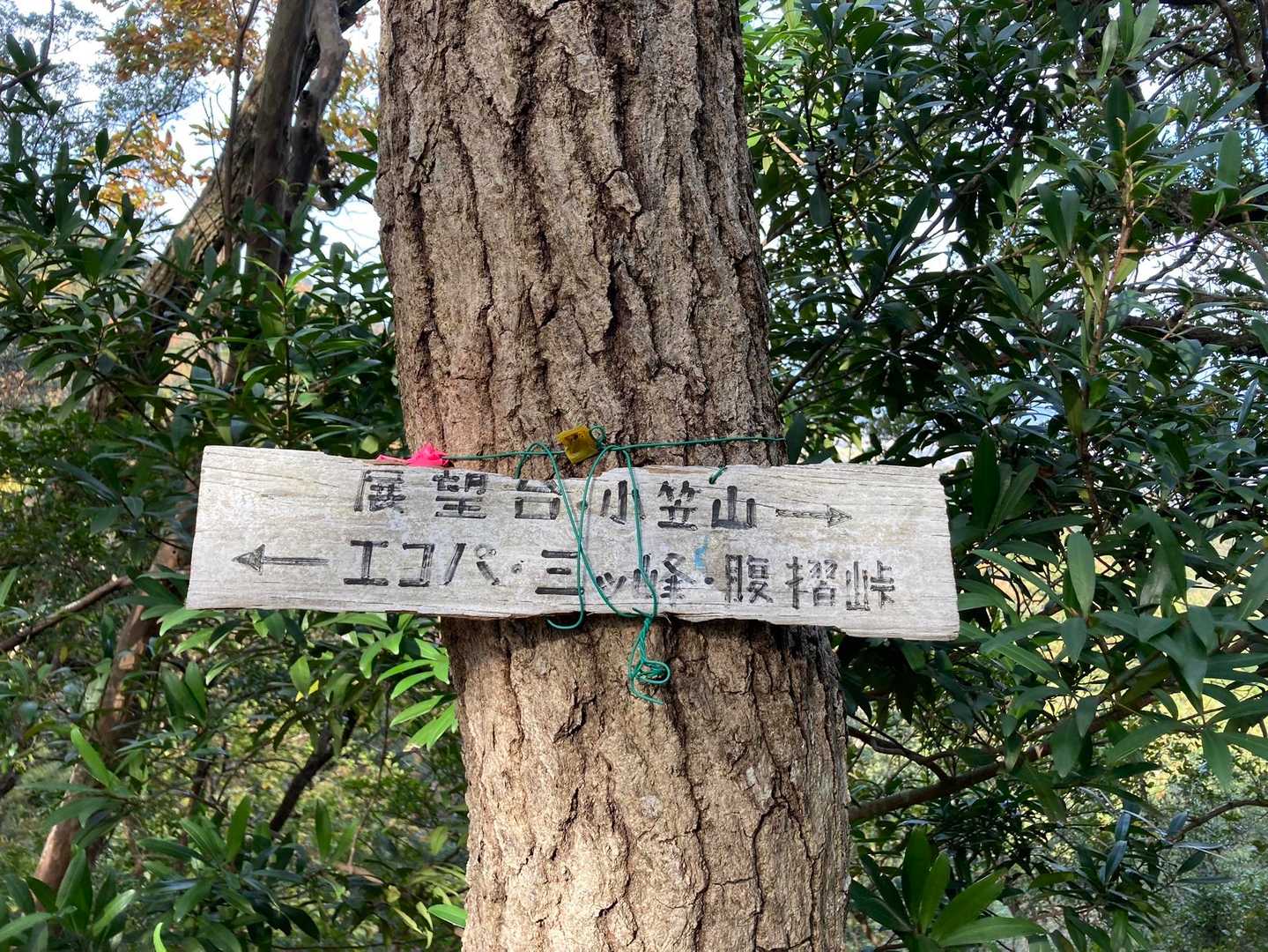 案内があるから迷う事はないと思うけど
一人だったら不安で引き返してた笑