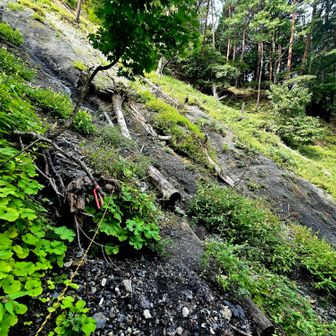 あとはトラバース道ひたすら
最後の最後(聖岳登山口からすぐ)に崩れあり