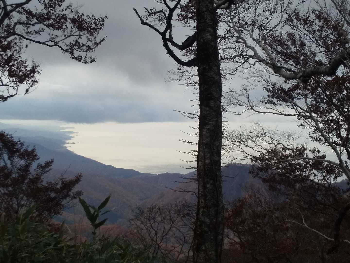 日本海が見える