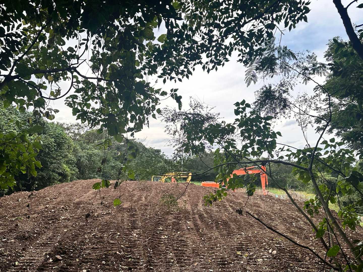 高頭山-みのが峠-雨乞岳 往復コースの写真