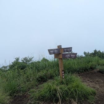天気はまぁ。暑くはなかったです。