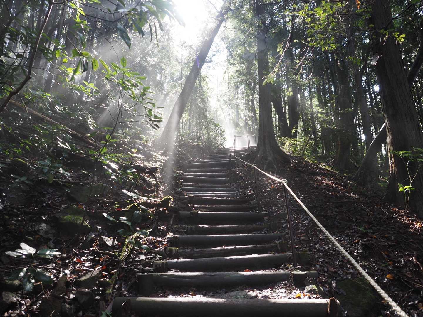 薬王院-筑波山 往復コースの写真