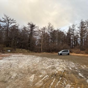 うちの🚗しか止まっていません🤭