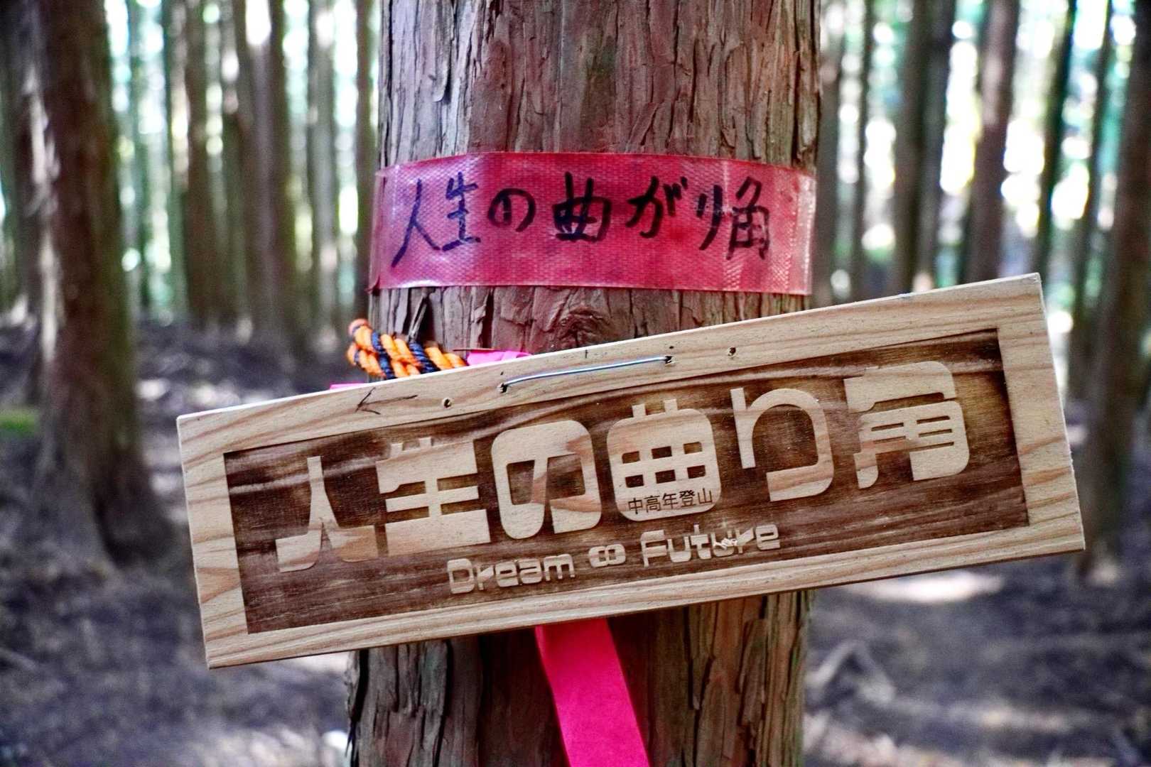 今度は曲がり角が出てきたꉂ🤣w‪𐤔
ここで山道は左へ🫴🏻

夢と未来は無限大なんて上手い事書いてるな〜💯