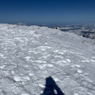 たぶんこの辺が巻機山山頂🙌