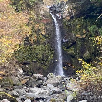 滝の水量は少なめ
