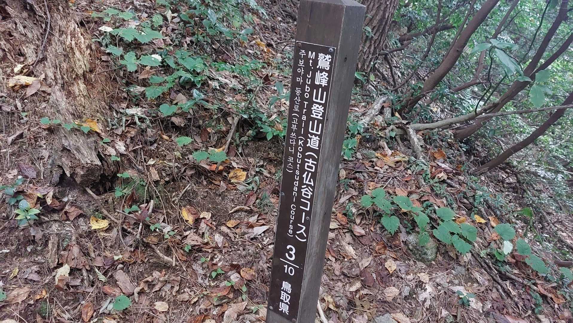 はい、三合目