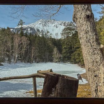 カウンターから絵画のよう