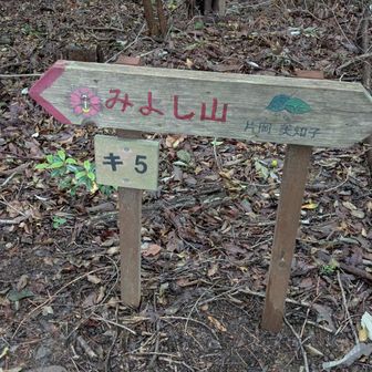 山頂標識を全部撮る予定でしたが、早速１座目を撮り忘れて終了となった（笑）
