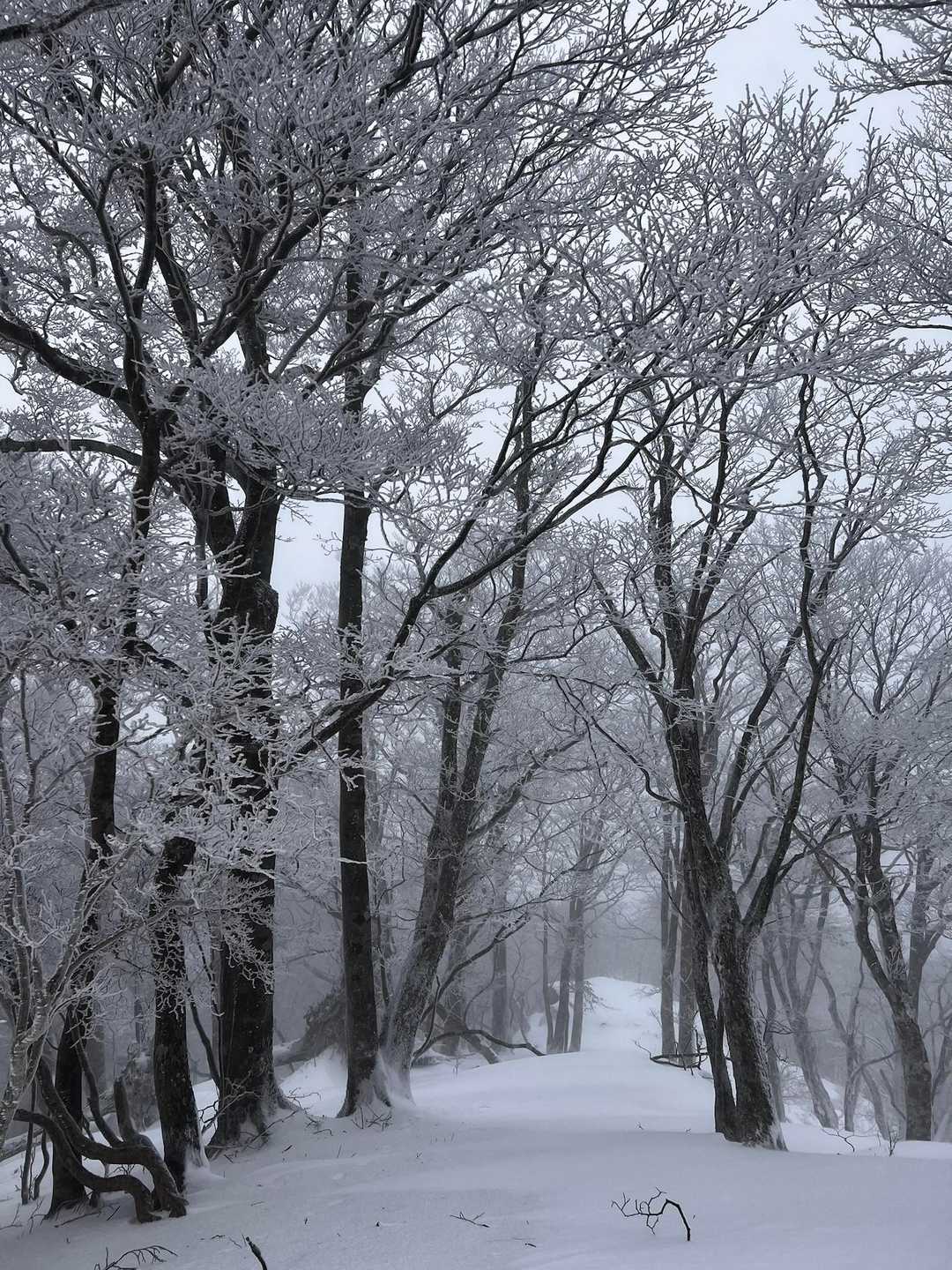 もっと先へ行きたくなる景色❗️❄️😃