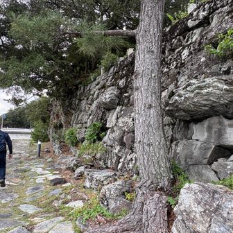 石垣に岩盤が出ている