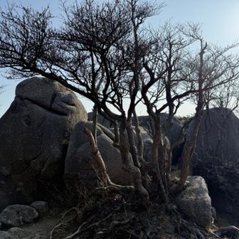 大きな岩がたくさん