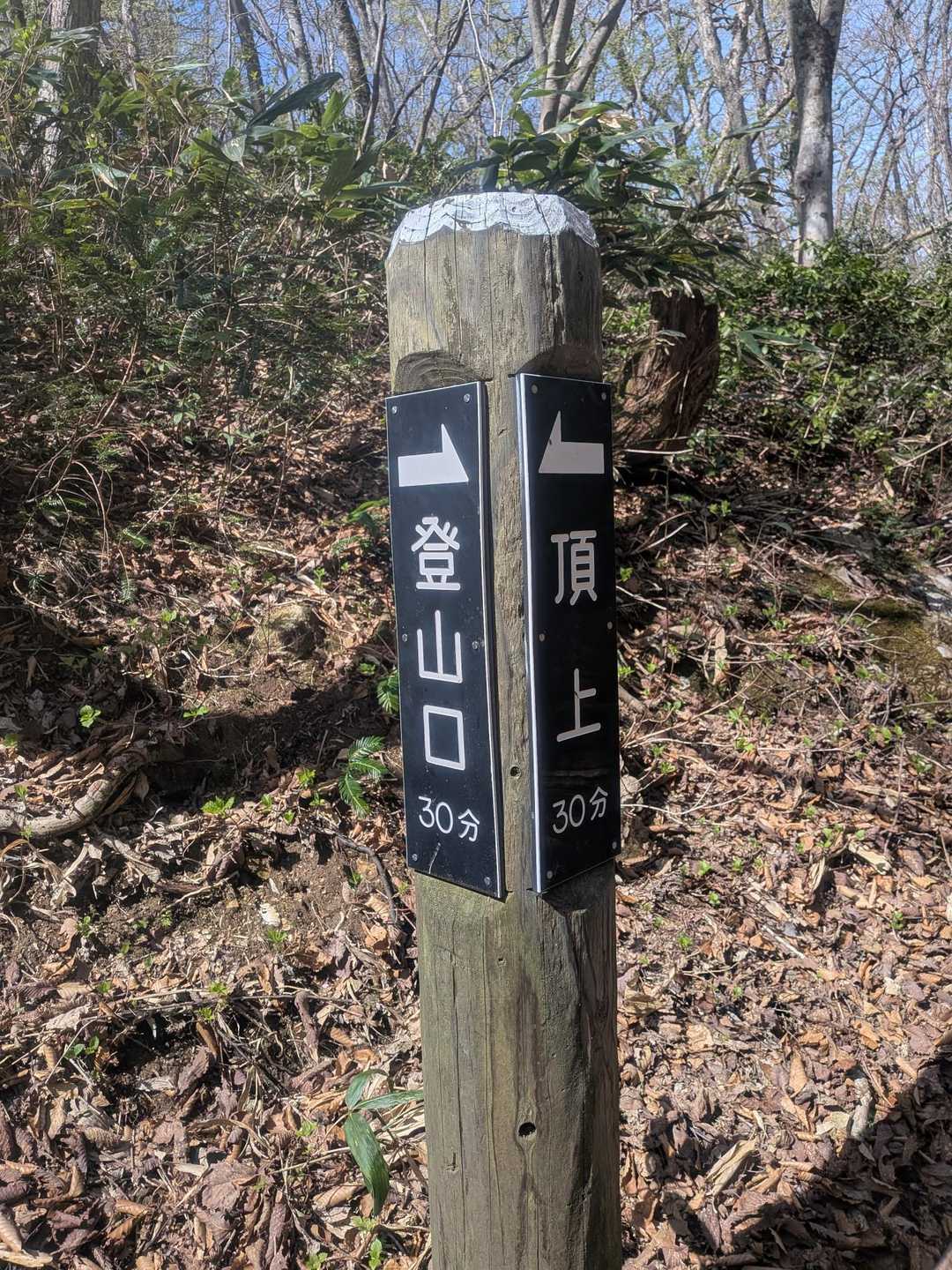 ここが中間地点😊