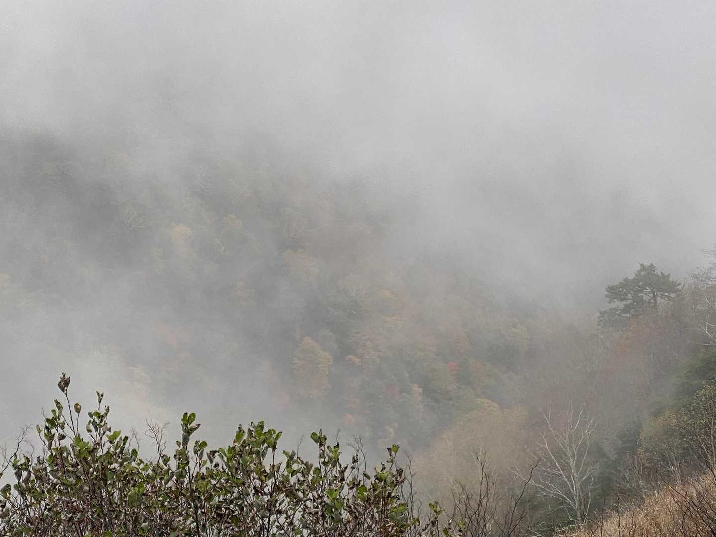 ➕ガス🟰台無し‼️
あんなにお天気よかったのに、ここからは真っ白に😭
そしてたまにミゾレ、たまに爆風・・・
それでも頑張って行くぞ💦