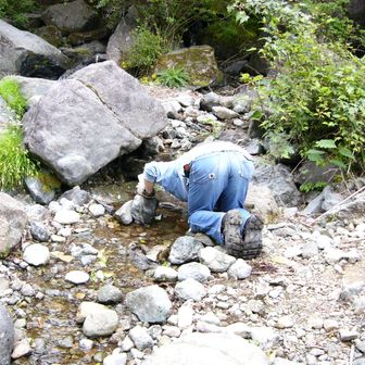 elioD・A トメマーNo198