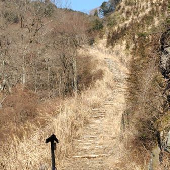 愛鷹山登山口に到着💡午前8時29分。ここから本格的な登山道💪