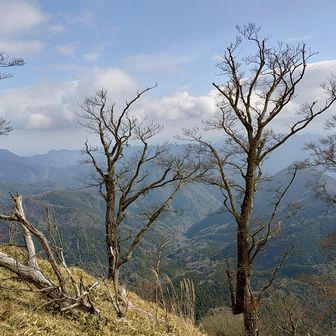 先週登った八面山はどれだ？