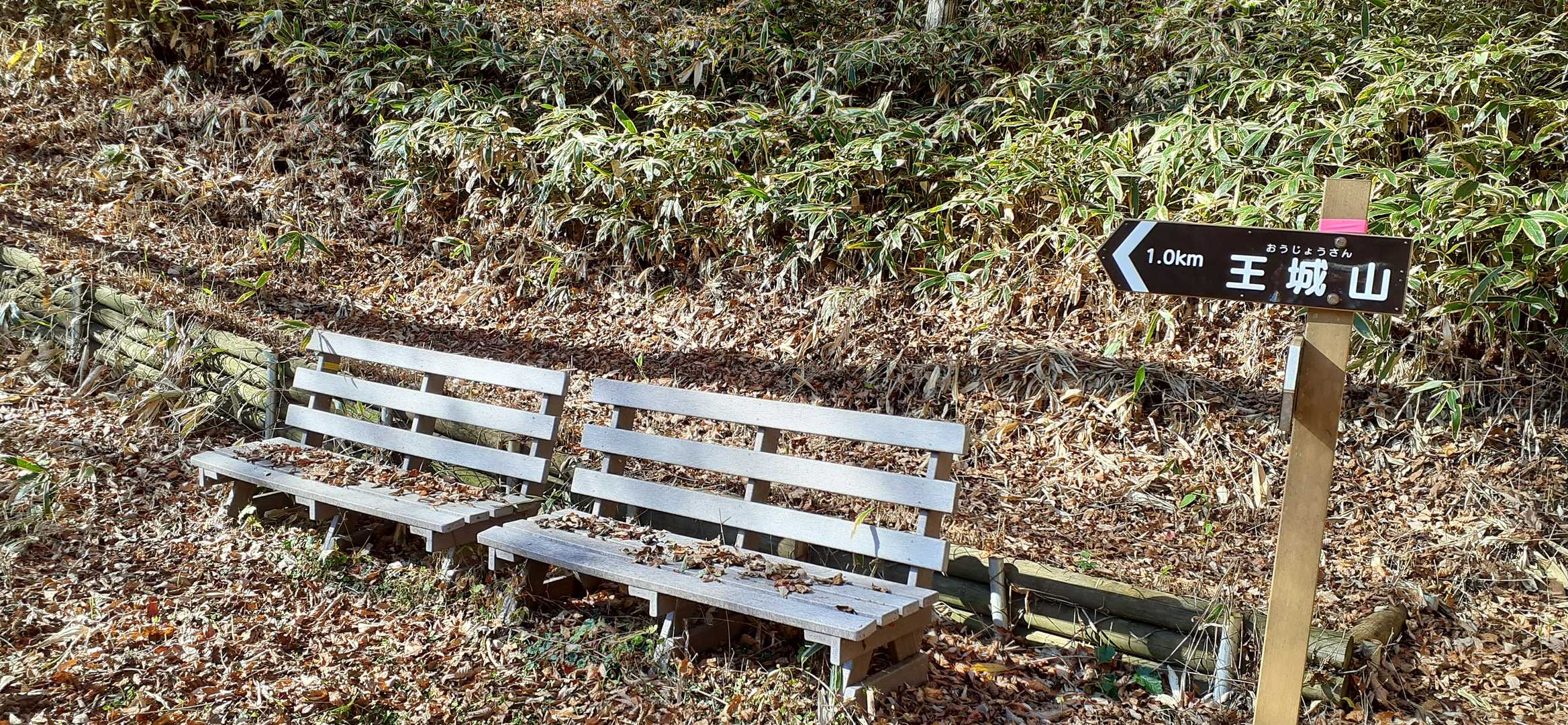 ここで舗装登山道は終わり
本格的に登ります
