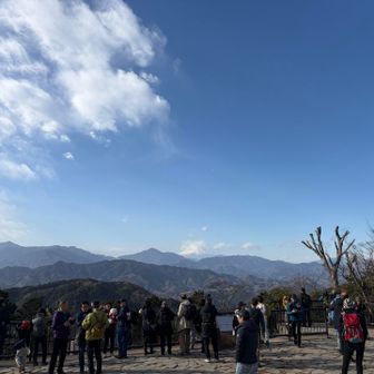 恥ずかしがり屋の富士子さん。
高尾山頂からです。