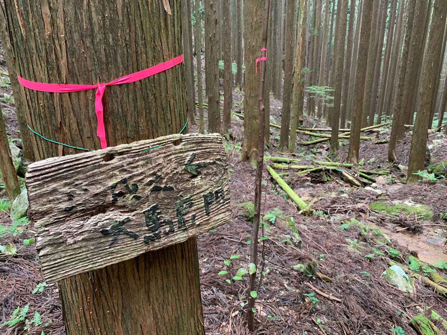 コレコレ‼️
知らないと「えーっ？（悶々）」となるでしょっ❓（笑）