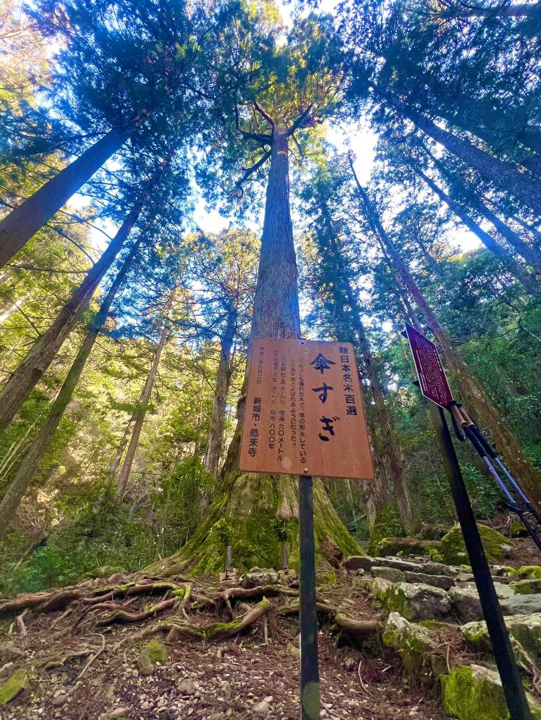 鳳来寺-鳳来寺山登り口-鳳来寺山-鷹打場-東照宮 周回コースの写真