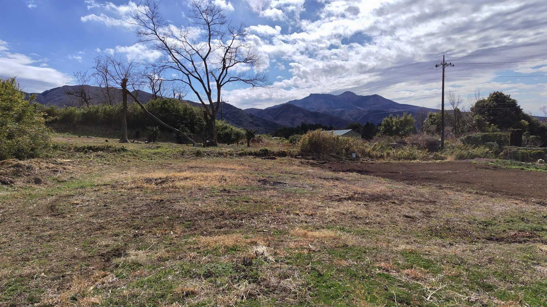 むー、筑波山登りたかったな。またリベンジしにきますか。