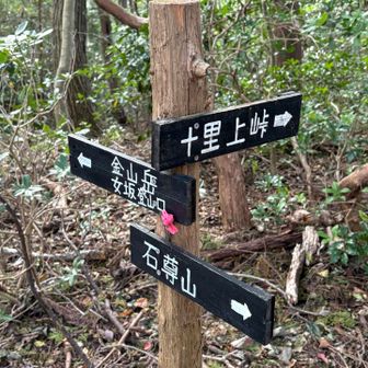 金山岳・十里上峠分岐点
金山岳へ