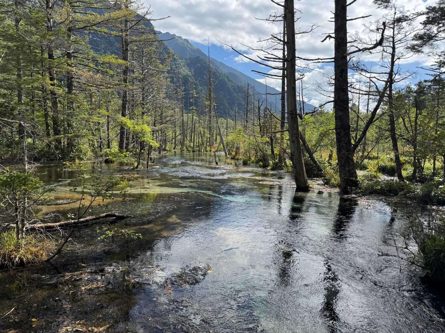 前穂高岳（上高地）＜重太郎新道＞の写真