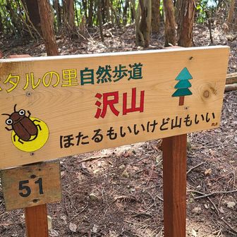 沢山
ココまで、鳥川ならではの矢継ぎ早の山頂ラッシュは無い。