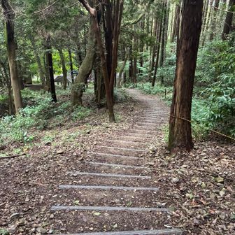 下山