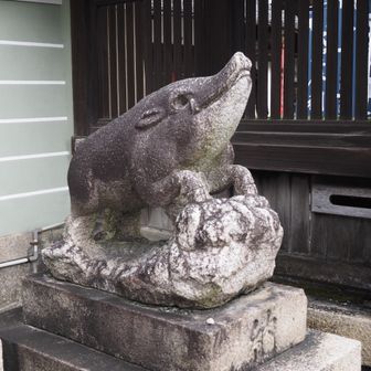 まこやん