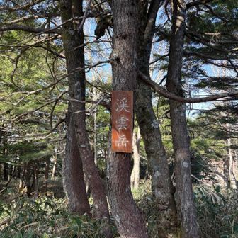 渓雲岳山頂🙌