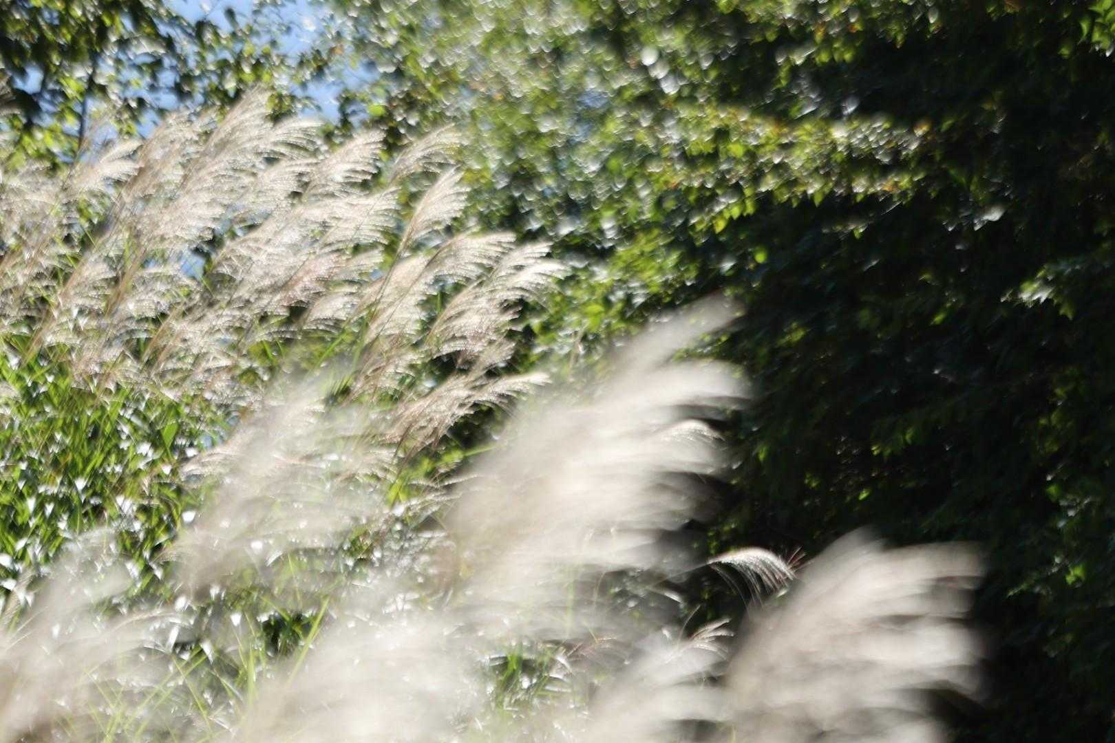 牛岳 周回コースの写真