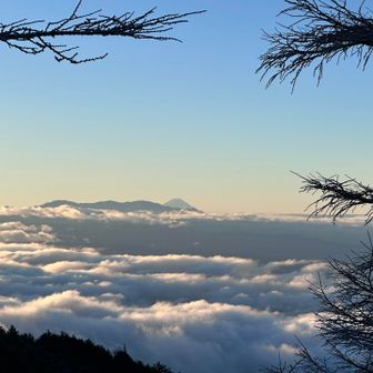 夜明けとも違った景色