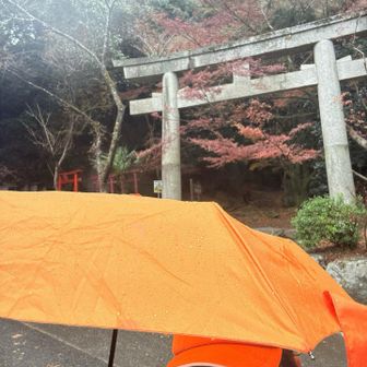 本降りの雨の宝満山登山口です☔📸
太宰府駅から電車🚃で帰るか、ウォーク続けるかの葛藤に悩んでました😅

しかしこの後、参道の傘専門店で一生モノのオレンジ傘を見つけた為、雨を楽しみながら歩いて帰る決心をしました🧡
残りたったの47㌔🤣🤣