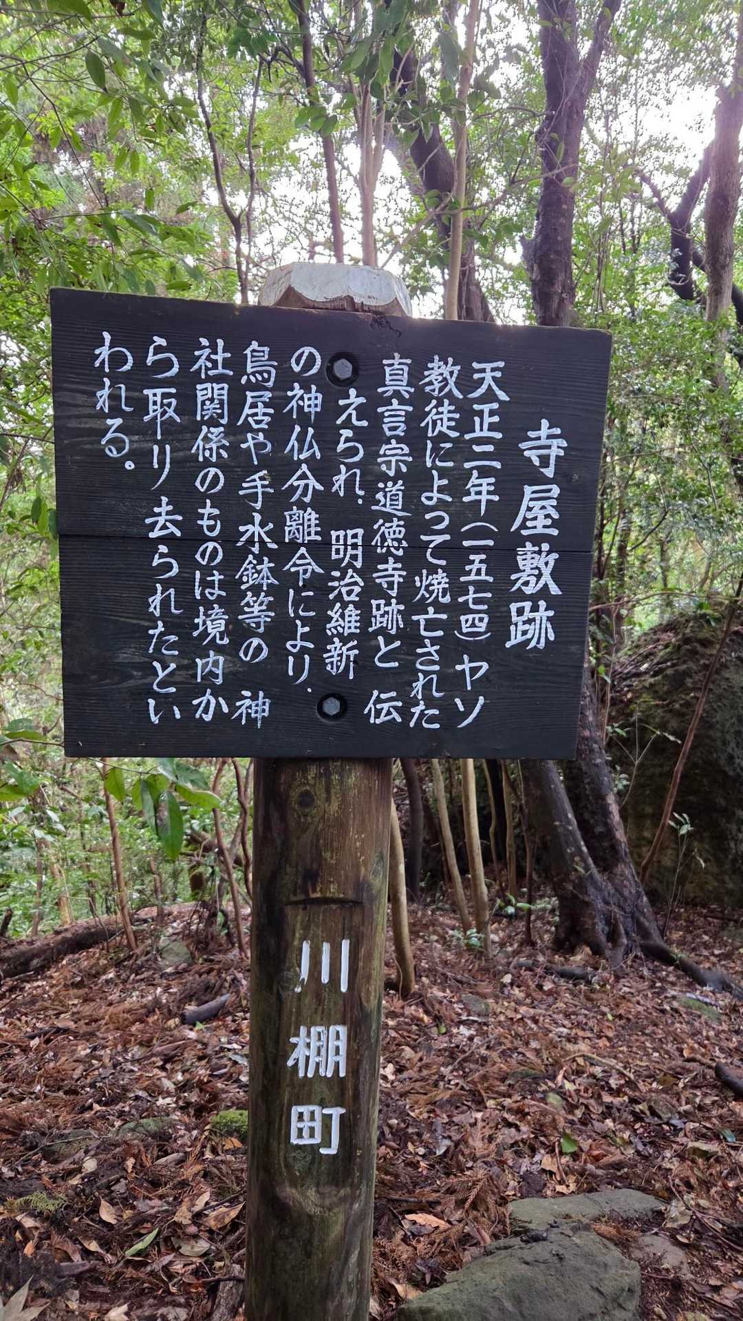 虚空蔵山 往復コースの写真