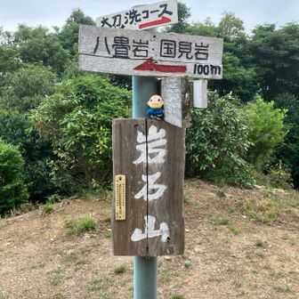 しばらくすると山頂です